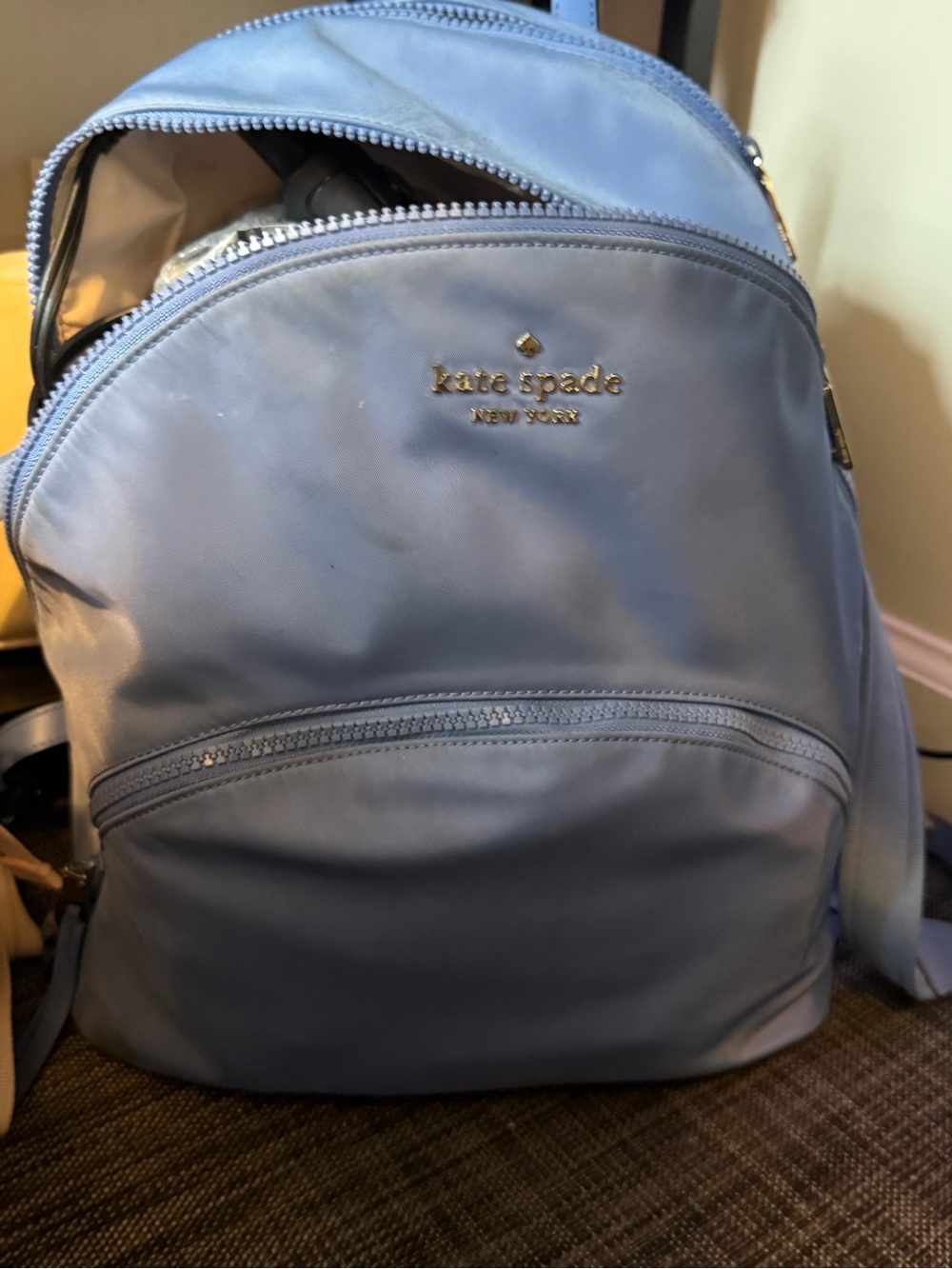 kate spade Light Blue Nylon Backpack